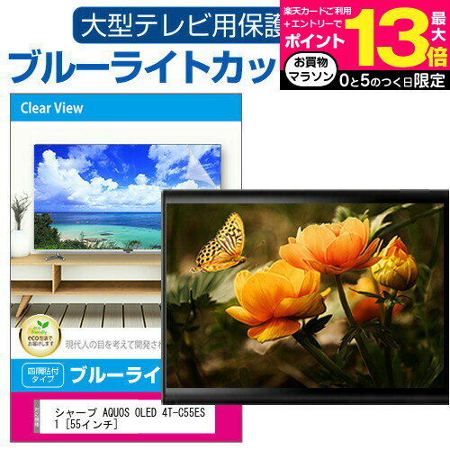 ＼15日はポイント10倍 ／ ハイセンス 55X8F 液晶テレビ保護パネル 55型 ブルーライトカット テレビ保護パネル 55インチ 保護 フィルム 画面 モニター 破損 防止 有機ELテレビ UV 保護 テレビガード 薄型 カバー