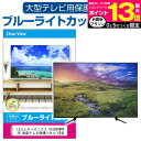 東芝 REGZA 55Z570K 55インチ 液晶テレビ保護パネル 55型 ブルーライトカット テレビ保護パネル 55インチ 保護 フィルム 画面 モニター 破損 防止 有機ELテレビ UV 保護 テレビガード 薄型 カバー メール便送料無料