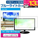 パナソニック VIERA TH-55LZ1800 55インチ 液晶テレビ保護パネル 55型 ブルーライトカット テレビ保護パネル 55インチ 保護 フィルム 画面 モニター 破損 防止 有機ELテレビ UV 保護 テレビガード 薄型 カバー メール便送料無料