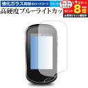 \10日はP最大8倍!!/ GARMIN Oregon 600 / 700シリーズ 専用 強化 ガラスフィルム と 同等の 高硬度9H ブルーライトカット クリ...