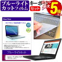 【マラソン ポイント5倍以上】 Lenovo ThinkPad X270 [12.5インチ] 機種で使える ブルーライトカット 指紋防止 液晶保護フィルム と キーボードカバー セット 保護フィルム キーボード保護 メール便送料無料