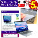 【30日と1日 ポイント5倍以上】 Lenovo IdeaPad Slim 560 Pro 2021年版 [16インチ]機種で使える ブルーライトカット 指紋防止 液晶保護フィルム と キーボードカバー セット メール便送料無料