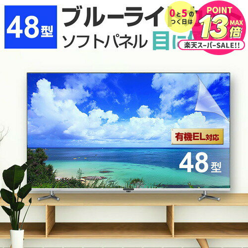 液晶テレビ保護パネル 48型 ブルーライトカット テレビ保護パネル 48インチ bravia ブラビア viera ビエラ regza レグザ 保護 フィルム 画面 モニター 破損 防止 UV 保護 テレビガード 薄型 カバー メール便 送料無料 jgs bgt 互換品