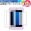 ディズニー&ピクサーキャラクター マジカルスマートノート 専用 強化ガラス と 同等の 高硬度9H ブルーライトカット クリア光沢 液晶保護フィルム メール便送...