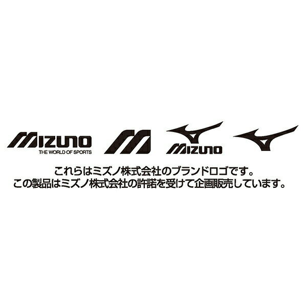 弁当箱 大人 一段 仕切り 食洗機 レンジ 対応 キャラクター 容量 830ml スケーター PFLB8AG 抗菌【抗菌 日本製 4点ロック お弁当箱 ドーム型 1段 漏れない 食洗機okミズノ mizuno ロゴ スポーツ 男性 男子 メンズ】