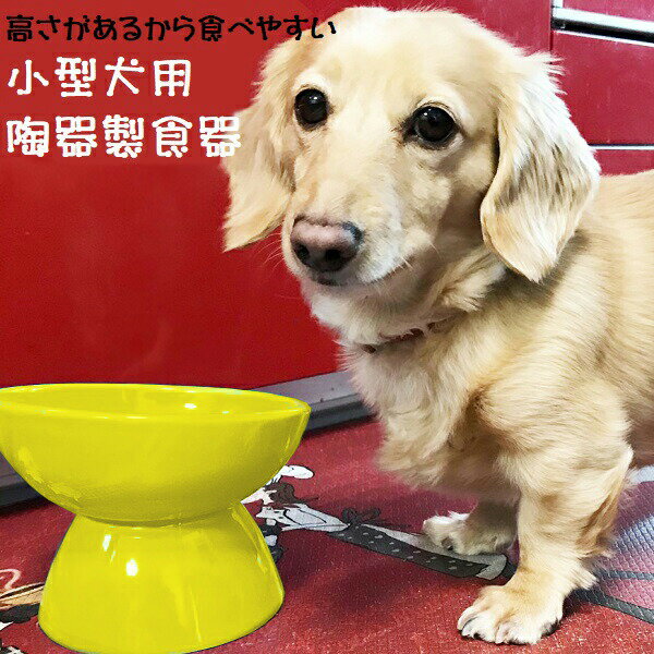 [5月30日 P15倍]陶器製 小型犬用食器イエロー陶器 陶製 犬 ペット用食器 大阪府立大学と共同開発 スケーター