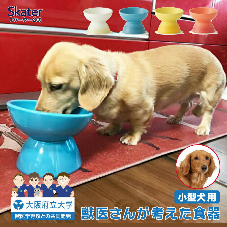 [18日～20日 P15倍]ペット用食器 陶器 製 小型犬 用 大阪府立大学 獣医学部 共同開発 アイボリー ミント オレンジ イエロー ペット食器 犬用食器 餌用　餌皿　【えさ皿　水飲み用 フード ウォーターボウル CHOB2 スケーター】