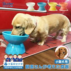 [14日～20日 P15倍]ペット用食器 陶器 製 小型犬 用 大阪府立大学 獣医学部 共同開発 アイボリー ミント オレンジ イエロー ペット食器 犬用食器 餌用　餌皿　【えさ皿　水飲み用 フード ウォーターボウル CHOB2 スケーター】