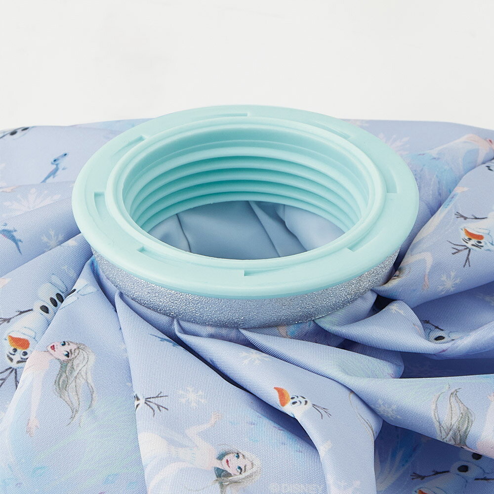 [7月23日〜8月17日 P20倍]スケーター 氷嚢 氷のう Mサイズ 直径約20cm アイスバッ...