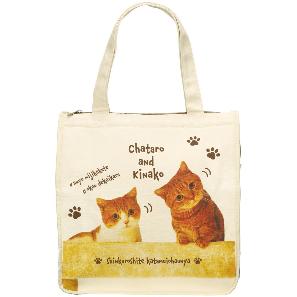 [12月3日〜11日 P20倍]スクエア トート バッグ 保冷 ショッピング かばん カバン エコバック スケータ..