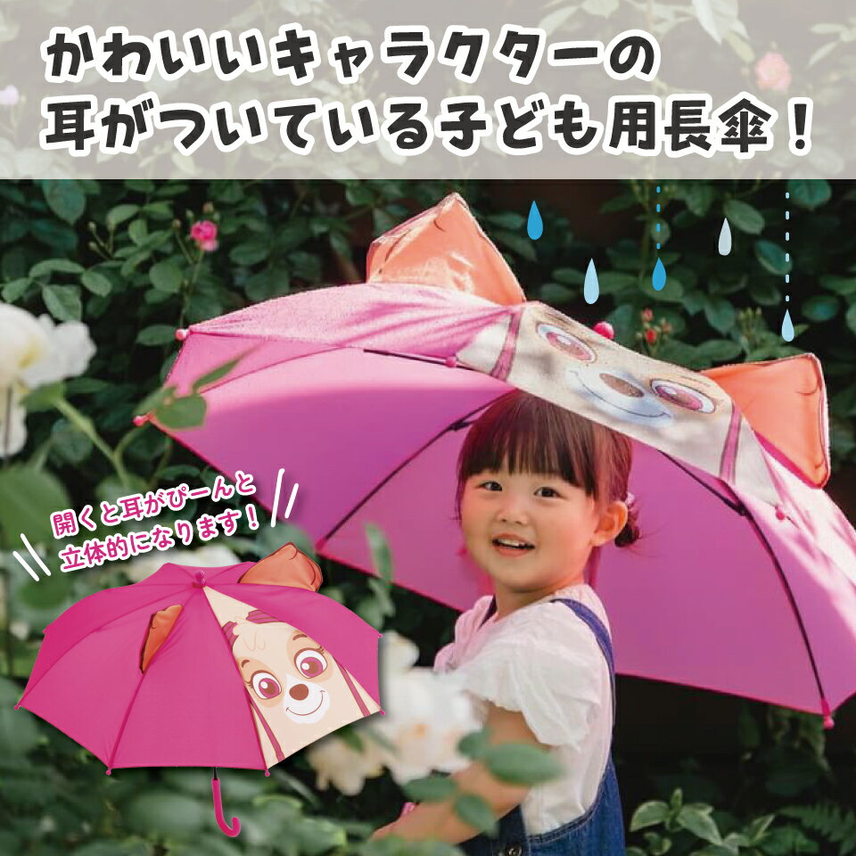 [2��21��~3��4�� P20��]�Ҷ��� �Ҷ� �� 45cm ���å� �곫�� �Ҷ��ѻ� Ĺ�� ���� ���� ���� ���å� ���ɤ� ���������� skater UBER45 �ѥ��ѥȥ����� �ѥ��ѥ� �������� �������ڥ���饯���� ������ ���ձ� ������ �̳ء�