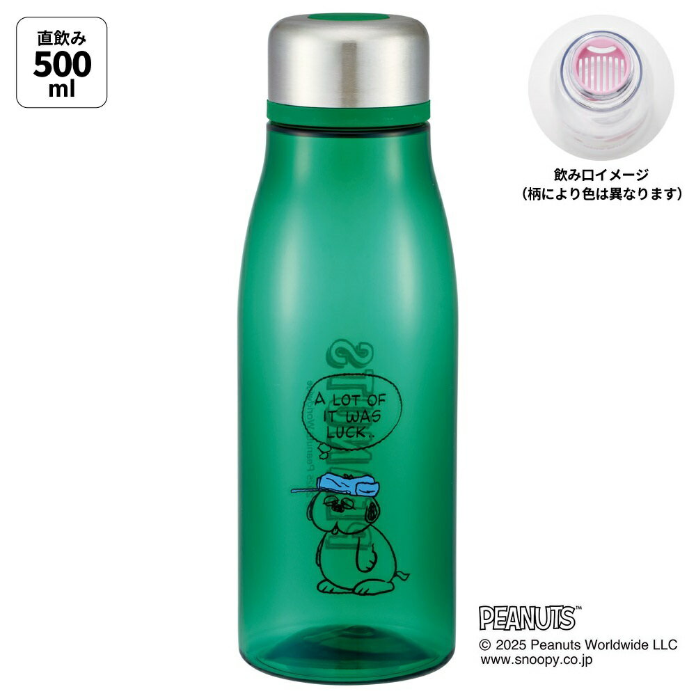 スケーター水筒500mlミニサイズ...