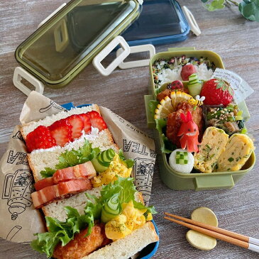 抗菌 食洗機 対応 ふわっと 弁当箱 530ml ランチボックス お弁当 お弁当箱 ランチ キャラクター PFLB6 女子 大人 一段 レンジ対応 ドーム型 食洗機ok おしゃれ 女性用 1段 弁当 女性 レディース 漏れない PFLB6AG スヌーピー 女 スケーター
