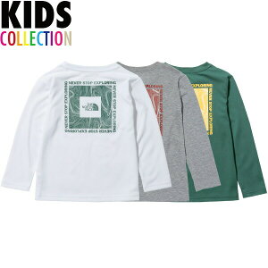 ノースフェイス キッズ tシャツ ショートスリーブTNFバグフリーロゴティー THE NORTH FACE Kids S/S TNF Bug Free Logo Tee 送料無料 半袖 Tシャツ 虫よけ加工 吸汗速乾性 アウトドア キャンプ 男の子 女の子 誕生日 プレゼント ギフト 全2色 100-150サイズ NTJ12135