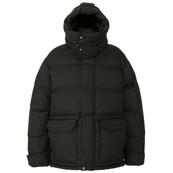 楽天CASSETTE　PUNCHポイント最大8倍 ノースフェイス ウィンドストッパーブルックスレンジライトパーカ 送料無料 THE NORTH FACE WS Brooks Range Light Parka ダウンジャケット GORE-TEX ゴアテックス アウトドア メンズ ブラック M-XL ND92265