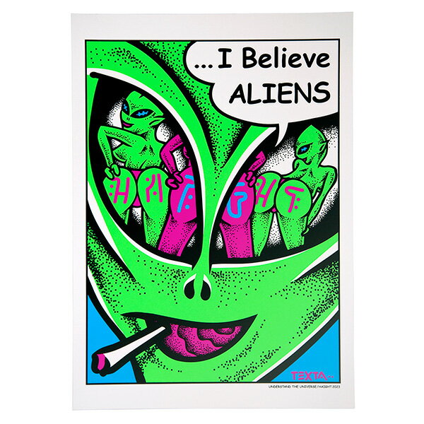 ヘイト HAIGHT ALIENS Silk Screen Poster シルクスクリーン ポスター インテリア Artwork by TEXTA マルチカラー...