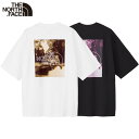 ノースフェイス Tシャツ THE NORTH FACE フリーライドスクエアロゴTシャツ ユニセックス 半袖Tシャツ メンズ レディース コットン100% 吸汗速乾 背面グラフィック レギュラーフィット カジュアル ストリート ファッション おしゃれ プレゼント ギフト NT82533