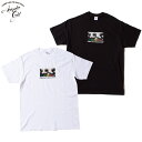 ACAPULCO GOLD アカプルコゴールド Tシャツ 半袖 コットン ストリートファッション アウトドア スポーツ 夏 音楽 ヒップホップ HIPHOP カルチャー お得なクーポン配布中