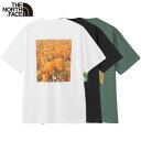 ザ・ノース・フェイス Tシャツ 半袖 NORTHFACE ノースフェイスTシャツ 吸汗速乾 人気 トレンド 流行 オールシーズン 男女兼用 タウンユース お出かけ 旅行 お得なクーポン配布中