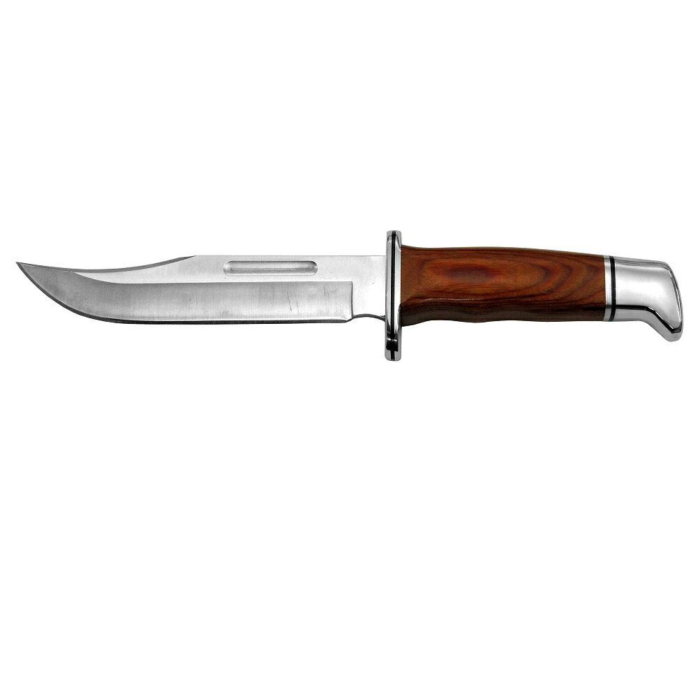 バックナイフ BUCK 119CCS1 スペシャル