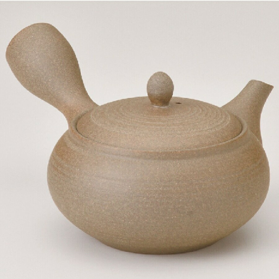 常滑焼 急須【深蒸し急須/丸網急須】焼〆中平丸細千段急須 盛正作