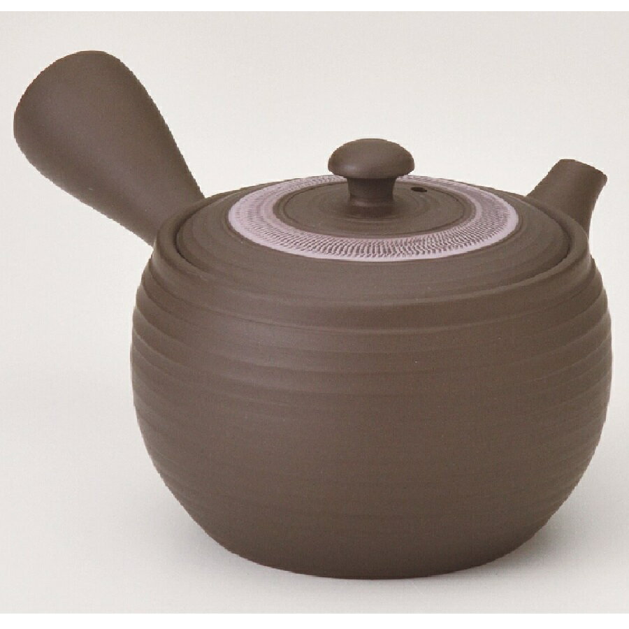 常滑焼 急須【機能急須/プレミアム茶こし】黒泥紫帯急須 竹春作