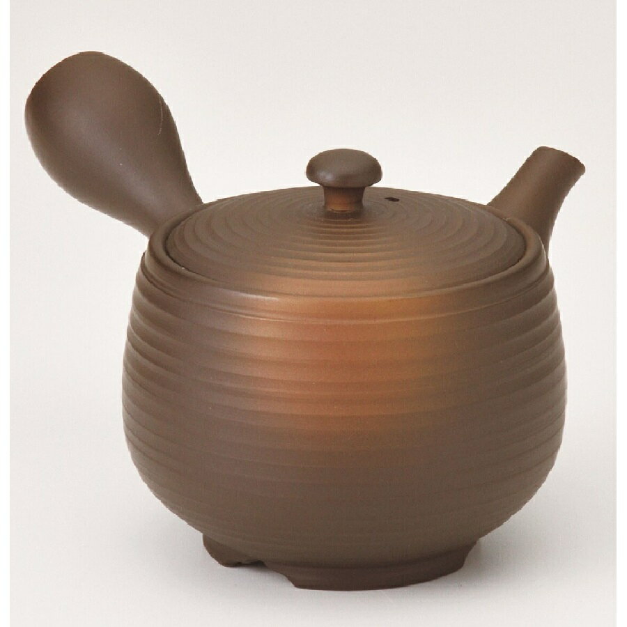 常滑焼 急須【機能急須/プレミアム茶こし】黒泥黄ボカシ線段急須 竹春作