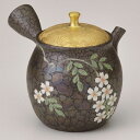常滑焼 急須【名工作品/セラメッシュ】長壺蓋雅しだれ桜急須 昭龍作