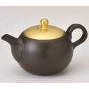 常滑焼 急須【小さい急須/セラメッシュ】昭萠 蓋金後手急須