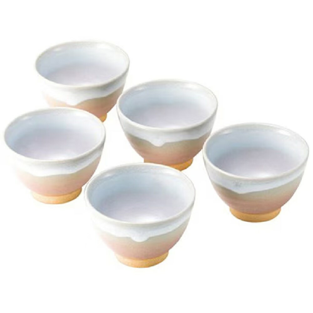 萩烧 - 萩焼 服部天龍 姫萩 汲出し揃（5客組）（120ml）×5客