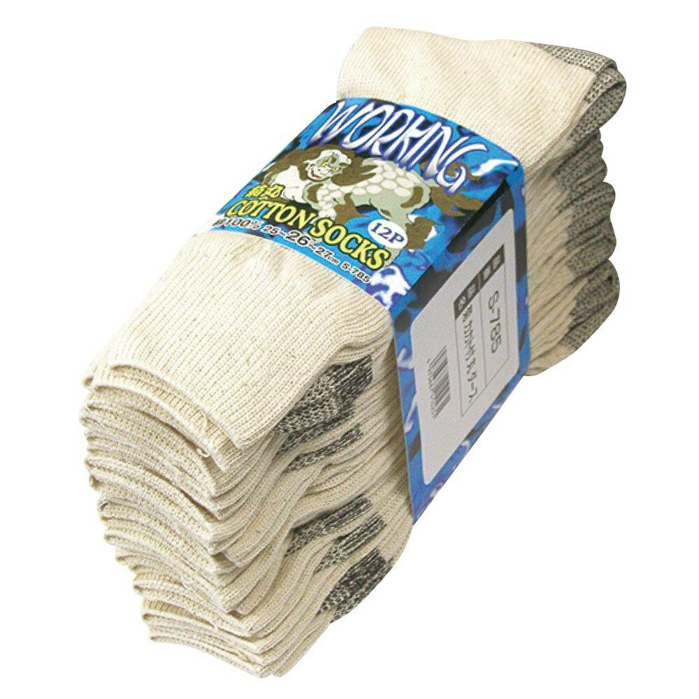 ��12­�ȡ�5�ȥ��å�����ۤ����դ����� S-785���ơ������ȥ��ʥꡡ��ݡ�12­�ȡ�25��27cm