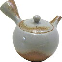 常滑焼 急須 一心窯 灰釉 300ml さわやか茶こし
