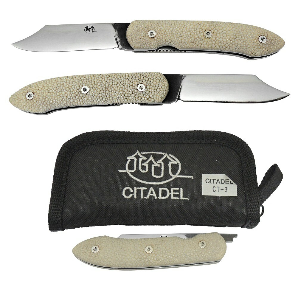 CITADEL シタデル　CT-3　ハノイRS