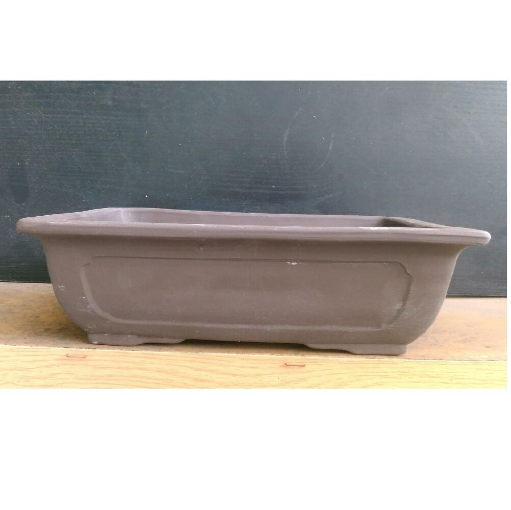 常滑焼 長角エン付入窓盆栽鉢(ウ泥) (9号)　(クリアランス品)