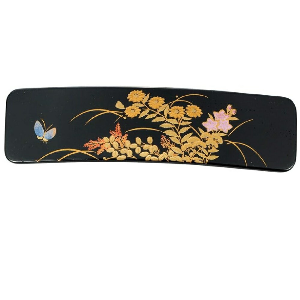 ���漿�� ������ ���ݥХ�å� Ĺ�ѡʾ��˲ڲ� (B)