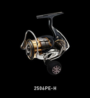 DAIWA(ダイワ)15イグジスト2506PE−H