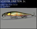 メガバス VISION ONETEN Jr. ヴィジョン ワンテン ジュニア 和銀オイカワオス