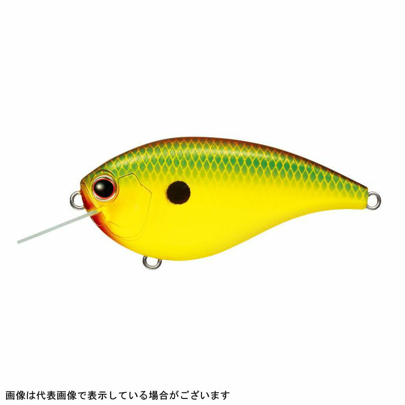 Rakuten - エバーグリーン　フラットフォース　＃361　シトラスチャート