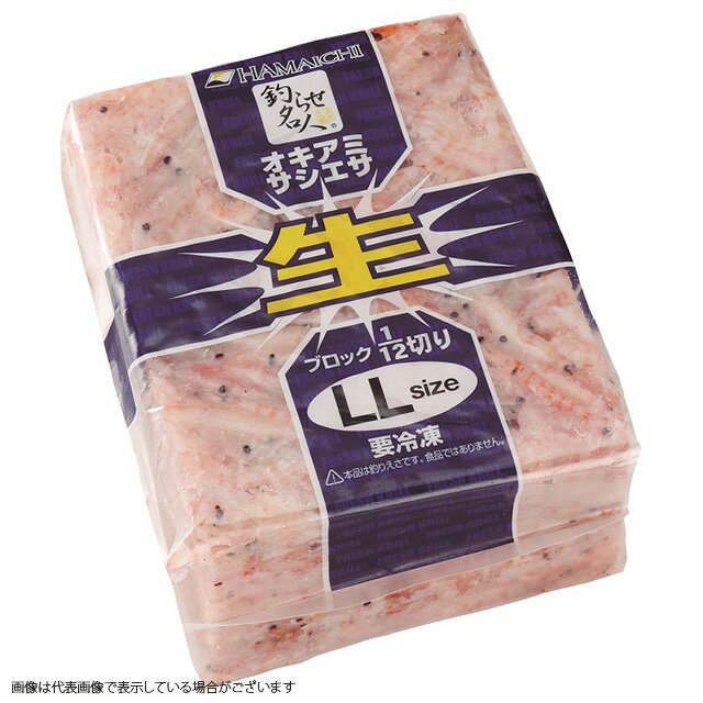 【冷凍品】オキアミサシエサブロック1kg LL 釣り餌 ツケエサ 船釣り 磯釣り【決済方法：クレジットカード/ApplePayのみ】(一回購入25個..