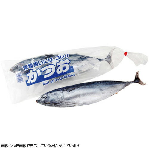 メジカ(カツオ幼魚) 1本袋入 釣り餌 ツリエサ 海上釣り堀 身エサ クエ アラ 青物(一回購入40個まで)