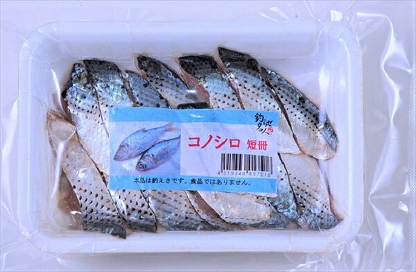楽天市場】冷凍 コノシロの通販