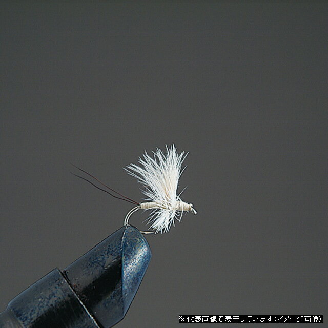 Х졼ҥ롡ʥɥ饤ե饤COMPLETEFLYD3CDCåBʥ꡼