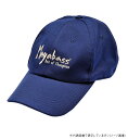 メガバス MEGABASS FIELD CAP BRUSH LOGO NVY/SLV