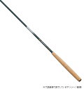 アルファタックル WIZZ テンカラ ST 30(4)