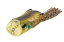 【スーパーSALE★3点購入ポイント10倍】OSP DIVING FROG(ダイビングフロッグ) モエビVer.2 CF35 【スーパーSALE★3点購入ポイント10倍】OSP DIVING FROG(ダイビングフロッグ) モエビVer.2 CF35