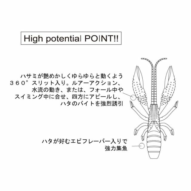 �ڥͥ��ݥ��о��ʡۥ롼�ǥ��������ϥ��������ܡ�2��5����������������������