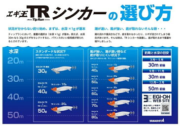 ヤマシタ エギ王 TRシンカー 30g PU(パープル)