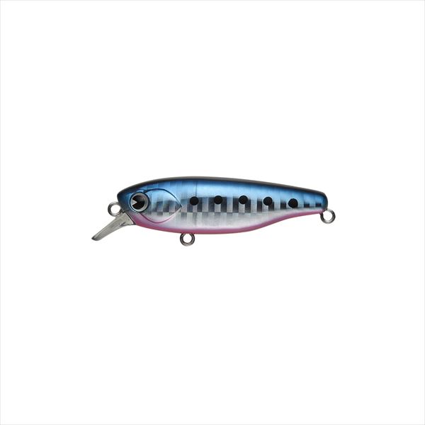 Rakuten - 【ネコポス対象品】 ima(アイマ) K-太 58 サスペンド #KT58-009 マコイワシ