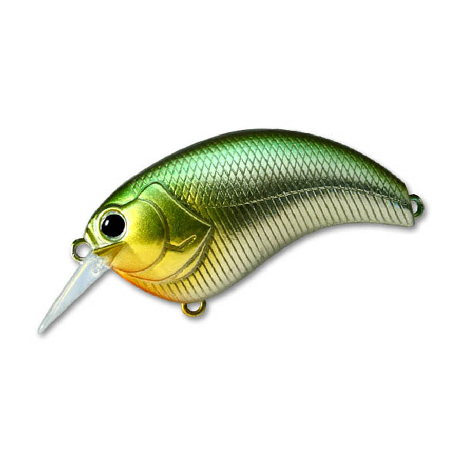 カラー：＃01 ケタバス全長：66．5mm重さ：18．0g『釣りの効率を上げる“道具”でなくてはならない』というコンセプトから生まれた対ヘビーカバークランクベイトです。 カバー回避後にあえてヒラを打たせず、すぐに起き上がる直進性の高さ、またアクションのピッチを限界まで早くすることを目指し幾多のトライ&エラーを繰り返すことで当初のイメージを超えた“獲るための道具”へと進化させました。 キャストが許されないような狭い水路でのピッチングによるアプローチ、小さなブッシュやレイダウン、ベジテーションから離れたがらないストライクゾーンの狭いバスをターゲットに、今までジグやテキサスの独壇場と思われたスポットですら、クランクベイトのステージへと変えてしまう可能性を、このクランクベイトは秘めています。※掲載している商品の画像は代表画像を表示しています。また実物と色が違って見える場合があります。あらかじめご了承下さい。