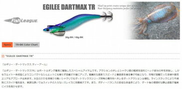 フィッシューリーグ　エギリー　ダートマックスTR　30g　TR29　パープルボーダーパープル